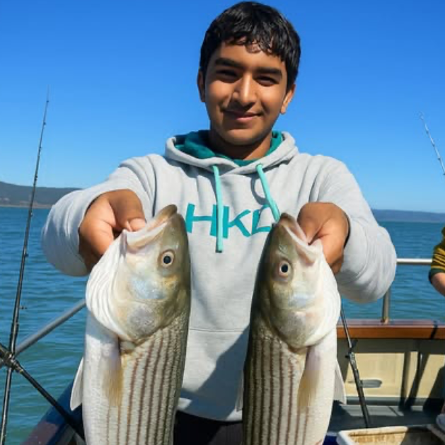A scout proudly holding up two striped bass on a fishing boat