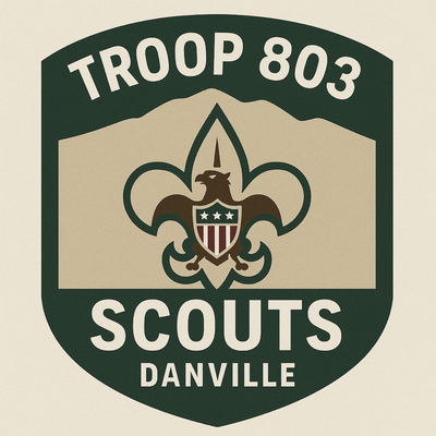Troop 803 badge logo